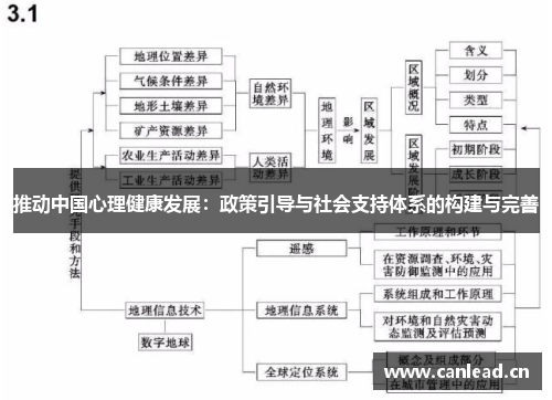 推动中国心理健康发展：政策引导与社会支持体系的构建与完善