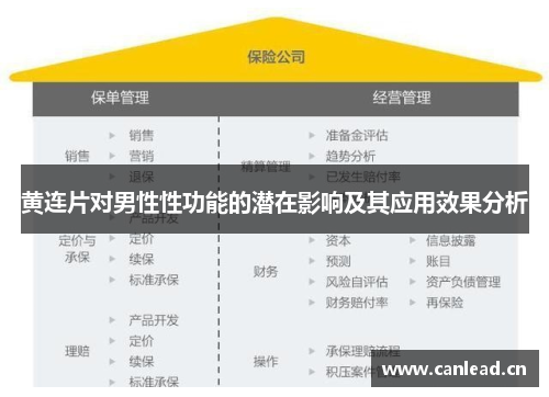 黄连片对男性性功能的潜在影响及其应用效果分析