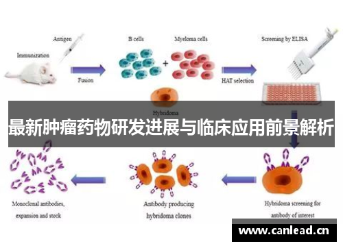 最新肿瘤药物研发进展与临床应用前景解析