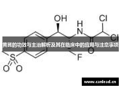 黄芪的功效与主治解析及其在临床中的应用与注意事项